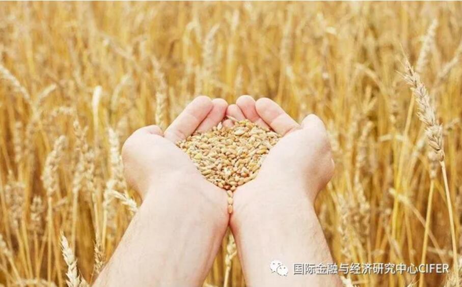 CIFER观察 | 从2.65亿严重粮食危机人口统计估算粗窥全球粮食安全危机-国际金融与经济研究中心